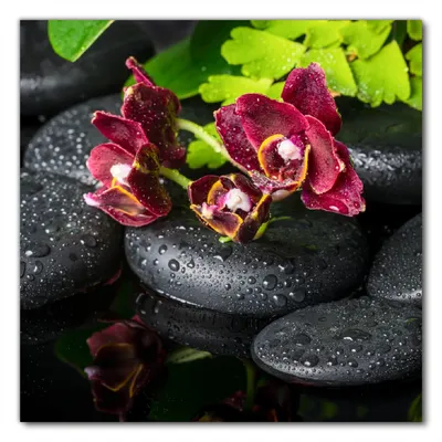 Produktbild von Wallario selbstklebende Möbelfolie/ Tischdecke für Innen und Außen, Größe: 50 x 50 cm - Dunkelrote Orchideen-Blüte auf schwarzen Steinen mit Regentropfen