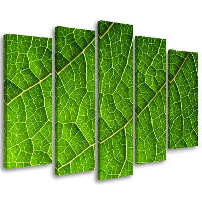 Image de Tableau en toile 5 pièces feuilles vertes nature 150 x 100 cm Feeby tableau mural vert prêt à accrocher