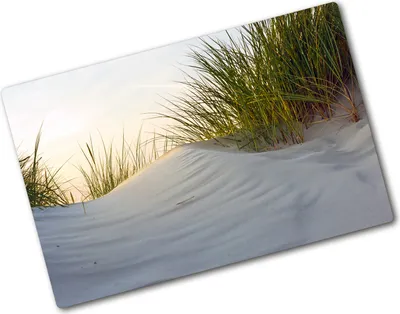 Produktbild von Tulup Glas Herdabdeckplatte - 80x52 cm - Glaskeramikkochfeld-Abdeckung Spritzschutz Glasabdeckplatte - Einteilig - Blumen & Pflanzen - Küstendünen - Beige