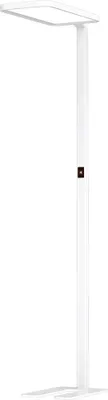 A white LED floor lamp on a white background.