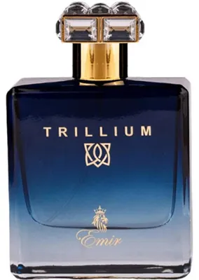 Produktbild von Paris Corner - Trillium EDP 100ml