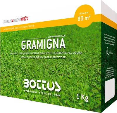 Zdjęcie produktu dla Trawa perzowa - 1 kg Profesjonalny zestaw nasion do trawników Bottos trawa perzowa