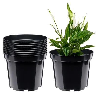 Image de Pot de fleurs Garronda GD-0025 (lot de 10, noir, ⌀ 32,7 cm, H 26 cm)