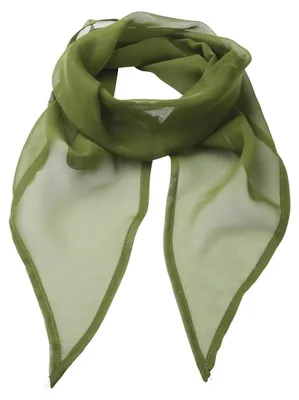 Image de Premier - Écharpe pour femmes LT1285 (taille unique) (vert oasis)