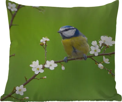 Produktbild von MuchoWow® Outdoor Kissen - Blaumeise - Zweig - Blumen - Blühende Zweige - Vogel - 40x40 cm - Wetterfest - Lounge Kissen - Kopfkissen - Interieur - Polster mit Bild