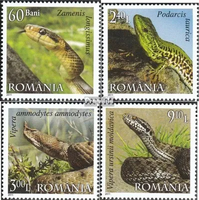 Produktbild von Briefmarken Rumänien 2011 Mi 6485-6488 (kompl.Ausg.) postfrisch Reptilien