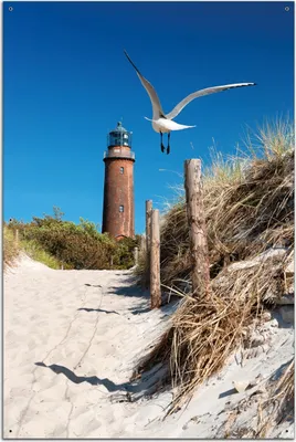 Produktbild von Wallario Outdoor-Poster für Garten oder Balkon, Motiv Möwe am Strand mit Leuchtturm, in ca. 61 x 91,50 cm