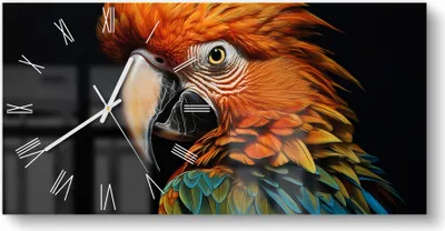 Produktbild von DEQORI Glasuhr 60x30 cm Römisch 'Prachtvogel Portrait' Wanduhr Glas Uhr Design leise Küchenuhr