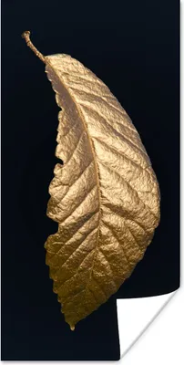 Produktbild von MuchoWow® Poster Blätter - Luxus - Gold - Schwarz - Natur 60x120 cm - Wandschmuck