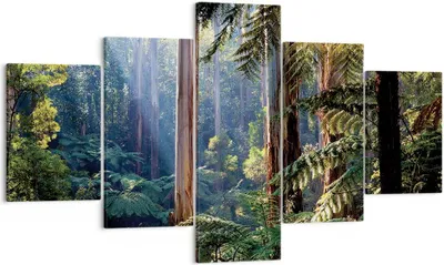 Produktbild von Bild auf Leinwand - Leinwandbild - 5 Teile - Morgendämmerung Bäume Wald - 125x70cm - Wand Bild - Wanddeko - Wandbilder - Leinwanddruck - Bilder - Wanddekoration - Leinwand bilder - EA125x70-4403