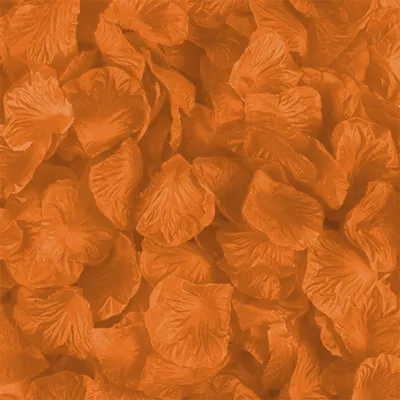 Produktbild von 100 Rosenblätter, Orange