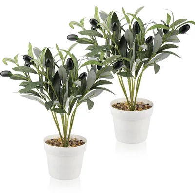 Immagine prodotto di Set di 2 alberi di ulivo artificiali, altezza 28 cm, con vaso bianco