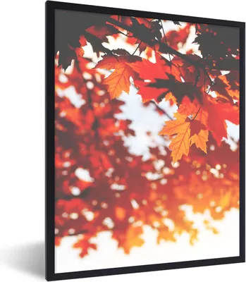 Produktbild von MuchoWow® Gerahmtes Poster Herbstliche Blätter - Rustikale Dekoration - Sonne 30x40 cm - Poster mit Schwarzem Bilderrahmen Wandposter Rahmen Foto Bilder - Wanddeko - Kunstdrucke