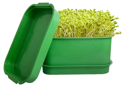 Produktbild von Sprossen-Anzuchtschale - Bodenlose Keimung mit Entwässerungslöchern für den Innenanbau von Pflanzen, Weizengras und Bohnen