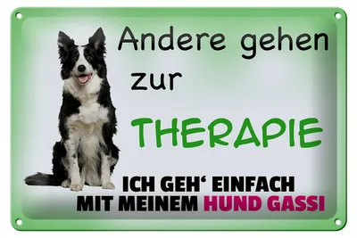 Produktbild von Blechschild Spruch 30x20cm ich geh' mit meinem Hund Gassi