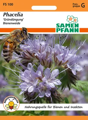 Artikelbild 1 von 'Gründüngung Phacelia' aus der Kategorie Phaceliasamen