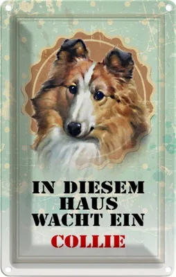 Produktbild von vianmo Blechschild 30x20 cm Hund in diesem Haus wacht ein Collie Tier Haustier