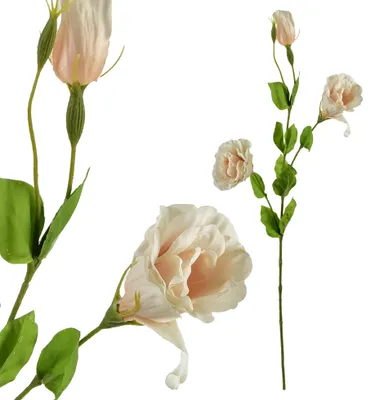 Image de Branche de fleurs artificielles en plastique, modèle Eustoma, couleur verte, 70 cm, multicolore, 1 pièce
