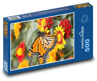Obrázek produktu pro Puzzle 500 Motýl na barevných květinách - martinpuzzle