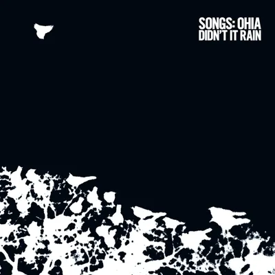 Obrázok produktu pre Songs:Ohia: Didnt It Rain (Deluxe Edition) (Reissue)