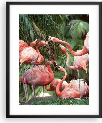 Produktbild von Gerahmtes Poster - Schwarzer Rahmen - Palmen Herde Flamingos - 40x50 cm - Wand Bild - Wanddeko - Wandbilder - Kunstposter - Wandposter - Bilderrahmen - Bilder - Kunstdruck - P2BPA40x50-4804