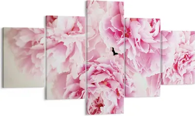 Produktbild von Bild auf Leinwand - Leinwandbild - 5 Teile - Pfingstrosen Blumenstrauß Blumen - 125x70cm - Wand Bild - Wanddeko - Wandbilder - Leinwanddruck - Bilder - Wanddekoration - Leinwand bilder - EA125x70-4961