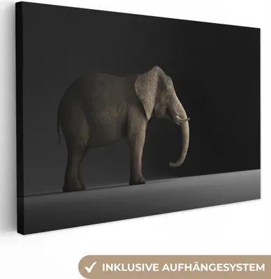 Produktbild von OneMillionCanvasses® - Leinwandbilder - 150x100 cm, Elefant - Tiere - Licht, Wandbilder Kunstdruck Wanddekoration