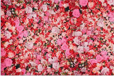 Produktbild von MuchoWow® Poster Blumen - Farben - Rosen 180x120 cm - Fotoplakat