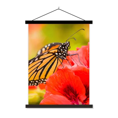 Produktbild von MuchoWow® Textilposter Blumen - Schmetterlinge - Monarch 90x120 cm mit schwarzem Rahmen - Dekoration