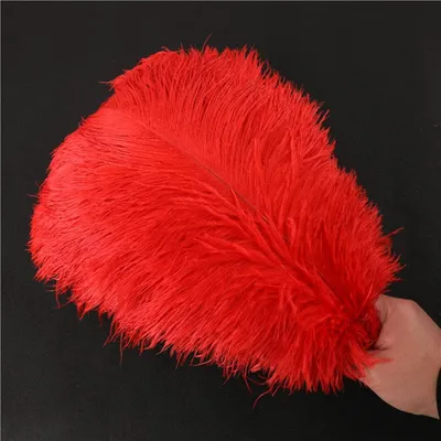 Produktbild von Straußenfedern, 10 Stück, 35-40 cm - Dekorative Federn - Bastelfedern - Wohnaccessoires - Kostüme - Tischdekoration - Dekorative Federn