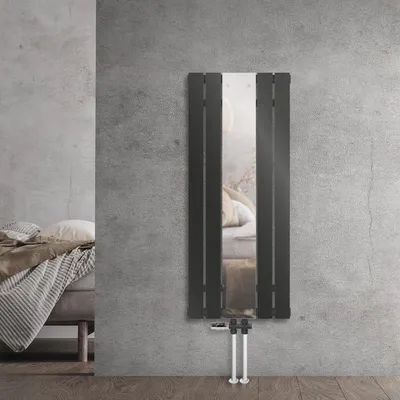 Immagine prodotto di LuxeBath Radiatore da bagno con specchio 450x1200 mm antracite, radiatore a specchio con valvola termostatica inferiore Radiatore piatto Singolo strato, senza elemento riscaldante