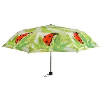 Produktbild von Esschert Design Regenschirm mit Marienkäfer Motiv zusammenfaltbar
