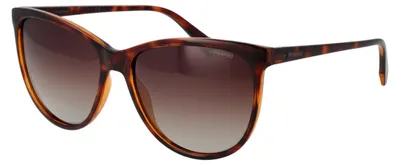 Image de POLAROID SUNGLASSES Lunettes de soleil PLD 4066_S 57086LA