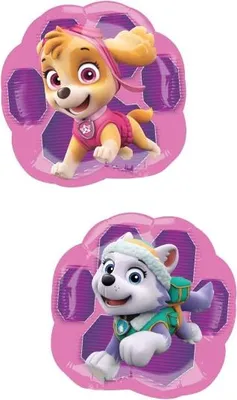 Obrázok produktu pre Fóliový balónik na tyči - tvar - Paw Patrol Sky