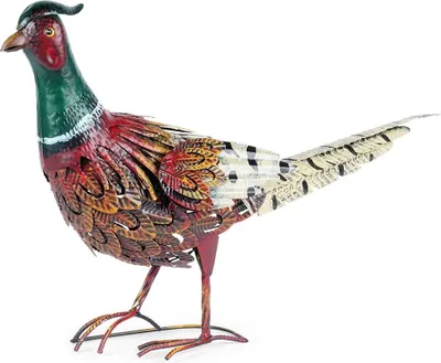 Produktbild von ProGarden Gartenfigur Fasan 40 cm Gartenskulptur