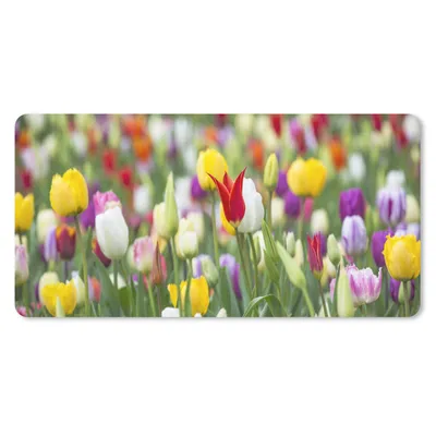 Produktbild von MuchoWow® Schreibtischunterlage Blumen - Farben - Frühling 80x40 cm - XXL Mauspad - Gaming Mauspad