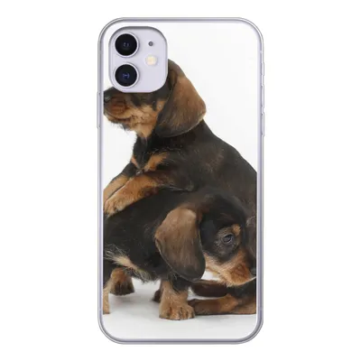 Produktbild von MuchoWow® Handyhülle Schutzhülle Hülle für iPhone 11 Studiofoto von zwei süßen Dackeln Silikon Softcase Handy Hülle - Handytasche