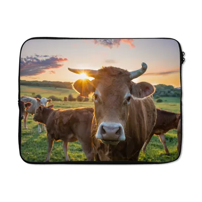 Produktbild von MuchoWow® Laptop Hülle 17 Zoll Laptoptasche Kühe - Sonne - Wiese - Landleben - Zipper - Schutzabdeckung