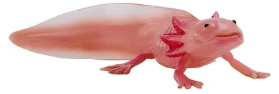 Immagine prodotto di Mojo Wildlife Axolotl 381108