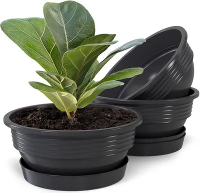 Produktbild von Plastard Blumenschale 3er Set Anthrazit Ø 32 cm mit Untersetzer - Pflanzschale
