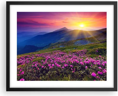 Produktbild von Gerahmtes Poster - Schwarzer Rahmen - Wiese Berge Landschaft - 50x40 cm - Wand Bild - Wanddeko - Wandbilder - Kunstposter - Wandposter - Bilderrahmen - Bilder - Kunstdruck - Wandbild - P2BAA50x40-2676
