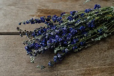 Produktbild von Delphinium natur blau im Bund ca. 60cm | Rittersporne getrocknet