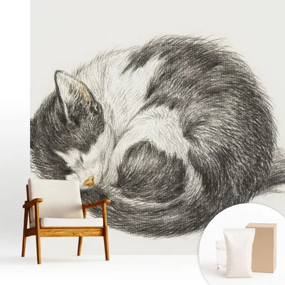 Obrázek produktu pro Samolepicí fototapeta – 250 x 250 cm – tapeta – nástěnná tapeta – nástěnné obrazy – samolepicí fólie – dekorativní fólie – tapetová fólie – stěna – dekorace – obývací pokoj – rozkošná kočka