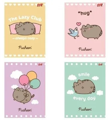 Obrázek produktu pro Paczka Zeszyt A5 32k.linia okładka laminowana Pusheen 15 sztuk
