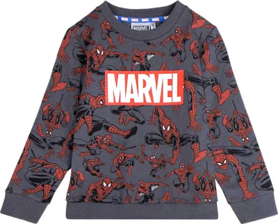 Produktbild von Sweatshirt Spider-Man All-over-Print Grau 110 cm