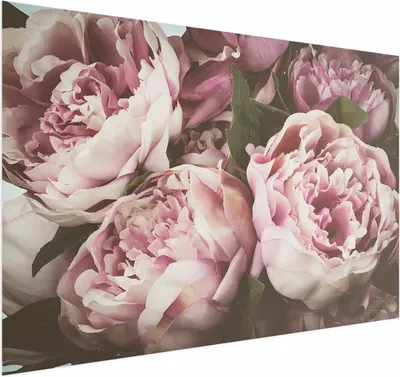 Produktbild von Posterpapier Poster - Pink Peonies 90x60 cm Blumen b-B-0351-ao-a