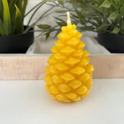 Produktbild von Bienenwachskerze Tannenzapfen schlank mit feinem Schuppenrelief 8 x 4 cm Baumwolldocht
