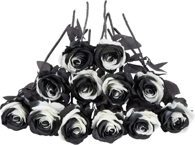 Produktbild von Künstliche Rosen Schwarz Weiß 12 Stück 53 cm
