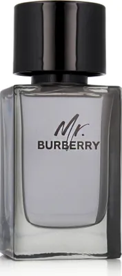 Image de Burberry Mr. Burberry Eau de Toilette pour homme 100 ml
