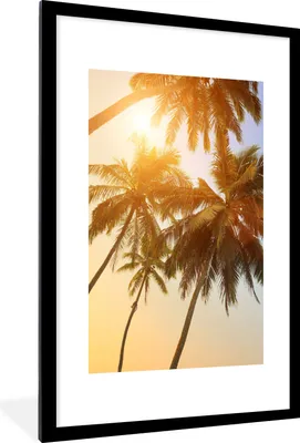 Produktbild von MuchoWow® Gerahmtes Poster Palme - Sonne - Sommer - Tropisch 60x90 cm - Poster mit Schwarzem Bilderrahmen Wandposter Rahmen Foto Bilder - Dekoration - Wandposter Wohnzimmer - Hochwertig